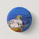 Search for swan badges Animals