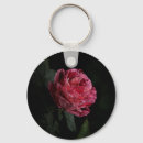 Search for dark key rings Red