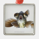 Search for fin christmas tree decorations Animal