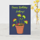 Search for carnivorous cards Venus fly traps