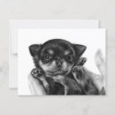 Search for chihuahua puppies postcards Dog lover