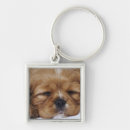 Search for charles spaniel key rings Nature