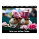 Search for pig calendars Humour