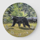 Search for black bear clocks Animal