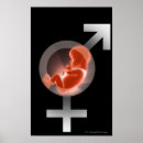 Search for chart symbols posters Life