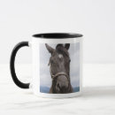 Search for front view mugs Agriculture