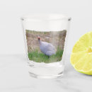 Search for fowl barware Nature