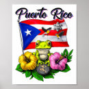 Search for music frog art Puerto rico
