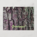 Search for forest birthday cards Pine