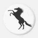 Search for hoof magnets Equine