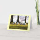 Search for sheep cards Beautiful