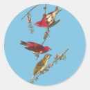 Search for birds finch stickers Birding