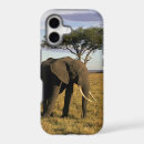 Search for tusks iphone cases Trunk