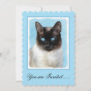 Search for siamese invitations Kitten