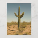 Search for desert vertical postcards North america