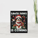 Search for border collie christmas cards Santa claus