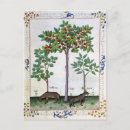 Search for cur postcards Robinet
