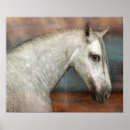 Search for dapple grey horse posters Mare