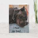Search for guilty cards Dog