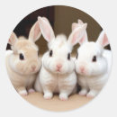 Search for fluffy bunny stickers Rabbit