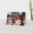 Search for warm fuzzy cards Pet