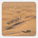 Search for erg stickers Walter bibikow