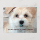 Search for dental reminder postcards Appointment