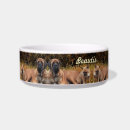 Search for bully pet supplies For pets