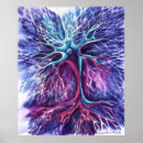 Search for neuron posters Cell