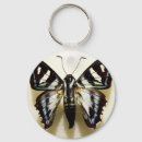 Search for moth key rings Bugs