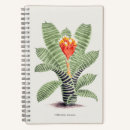 Search for fitch Botanical