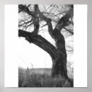 Search for barking art Winter