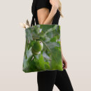 Search for acorns accessories Forest