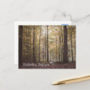 Search for brabant postcards Souvenir
