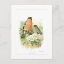 Search for watercolor bird postcards Animal