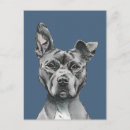 Search for handsome postcards Dog