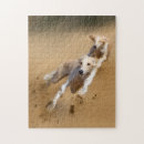 Search for lurcher gifts Sighthound