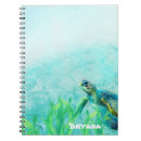 Search for turtle notebooks Hawaii
