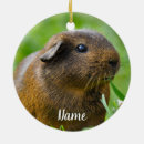 Search for pigs christmas tree decorations Rodent
