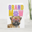 Search for brussels griffon cards Pets