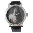 Search for horse watches Animals