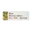 Search for fern return address labels Botanical
