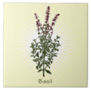 Search for basil home living Farmhouse