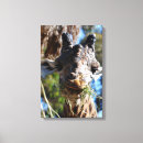 Search for eating canvas prints Mammal
