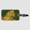 Search for big cat accessories Safari animal