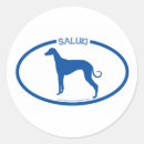 Search for saluki gift wrap Pets