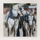 Search for percherons Draught horses