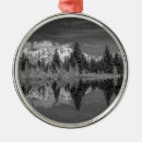 Search for black forest christmas tree decorations Snow