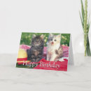Search for blanket cards Kitten