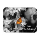 Search for orange blossom magnets Botanical